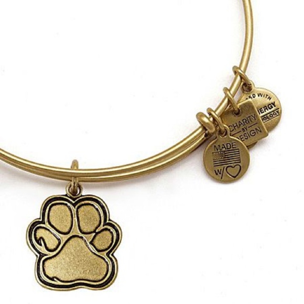 Alex and Ani Bangle